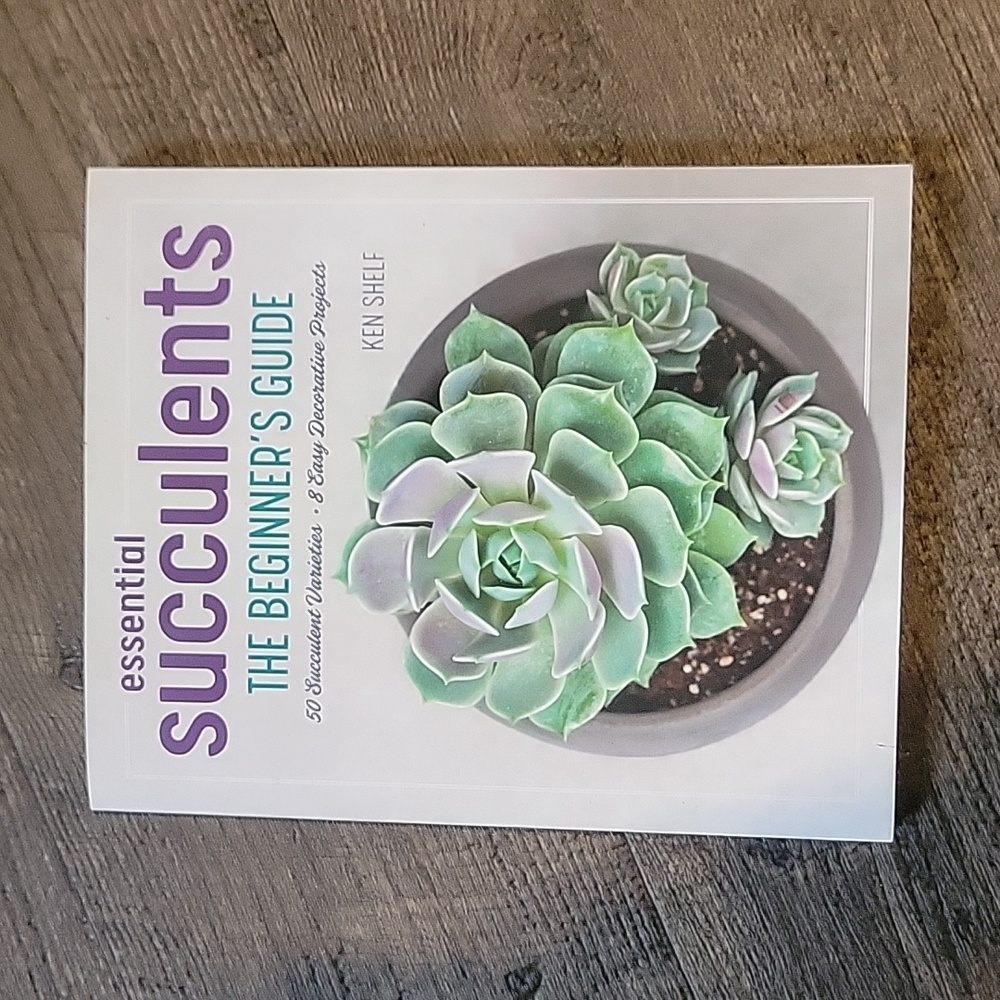 Essential Succulents The Beginner Guide